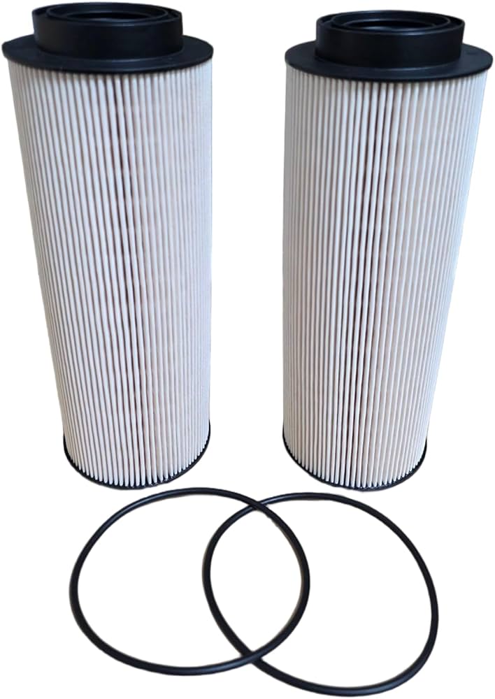 Amazon.com: BANGTE FS20260 Fuel Filter Water Separator Filter